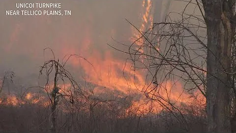 Teams battle 2 wildfires burning near Tellico Plains in Monroe County