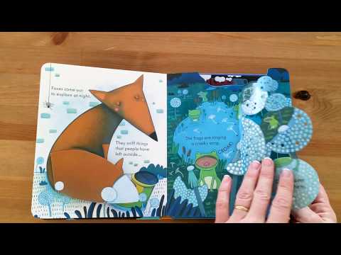 Peep Inside Night Time - Usborne