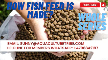 How to make fish feed ? Part 1