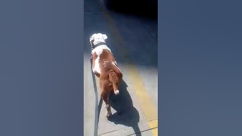 VID 20161125 WA0000