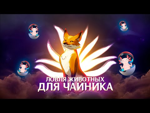 Ловля животных в чайник с помощью сети всевездесущности | Genshin Impact 2.3