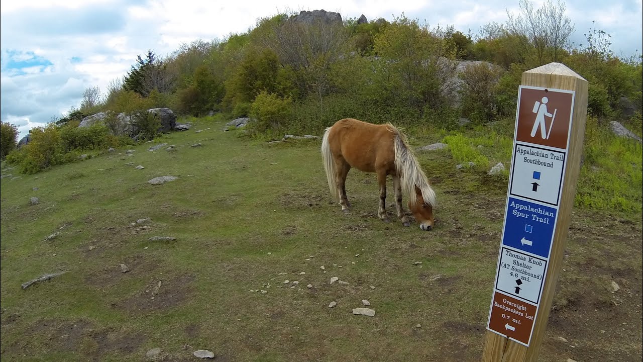 Grayson Highlands State Park and Mount Rogers National Recreation Area