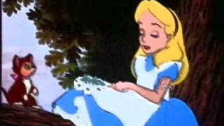 Alice~Imaginary~