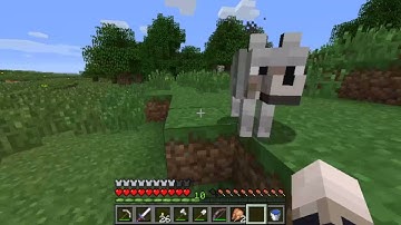 Minecraft - Super Hostile 11: Lethamyr Part 5