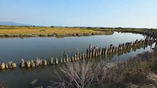 Samish River High Tide update 8.16.26