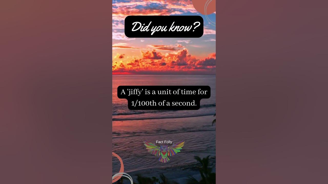 Exploring Useless Historical Facts HistoricalFacts YouTube