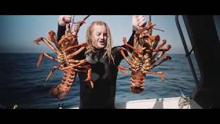 Apollo Bay seafood sortie with Richardson Marine