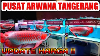 UPDATE HARGA IKAN ARWANA TERBARU TERMURAH  BERKUALITAS SUPER DI PUSAT ARWANA TANGERANG | part 2