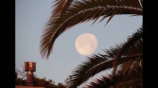 365 Days Of Images - - Day 119 - April 28, 2021 Accept And Embrace The Shadows - Pacific Grove