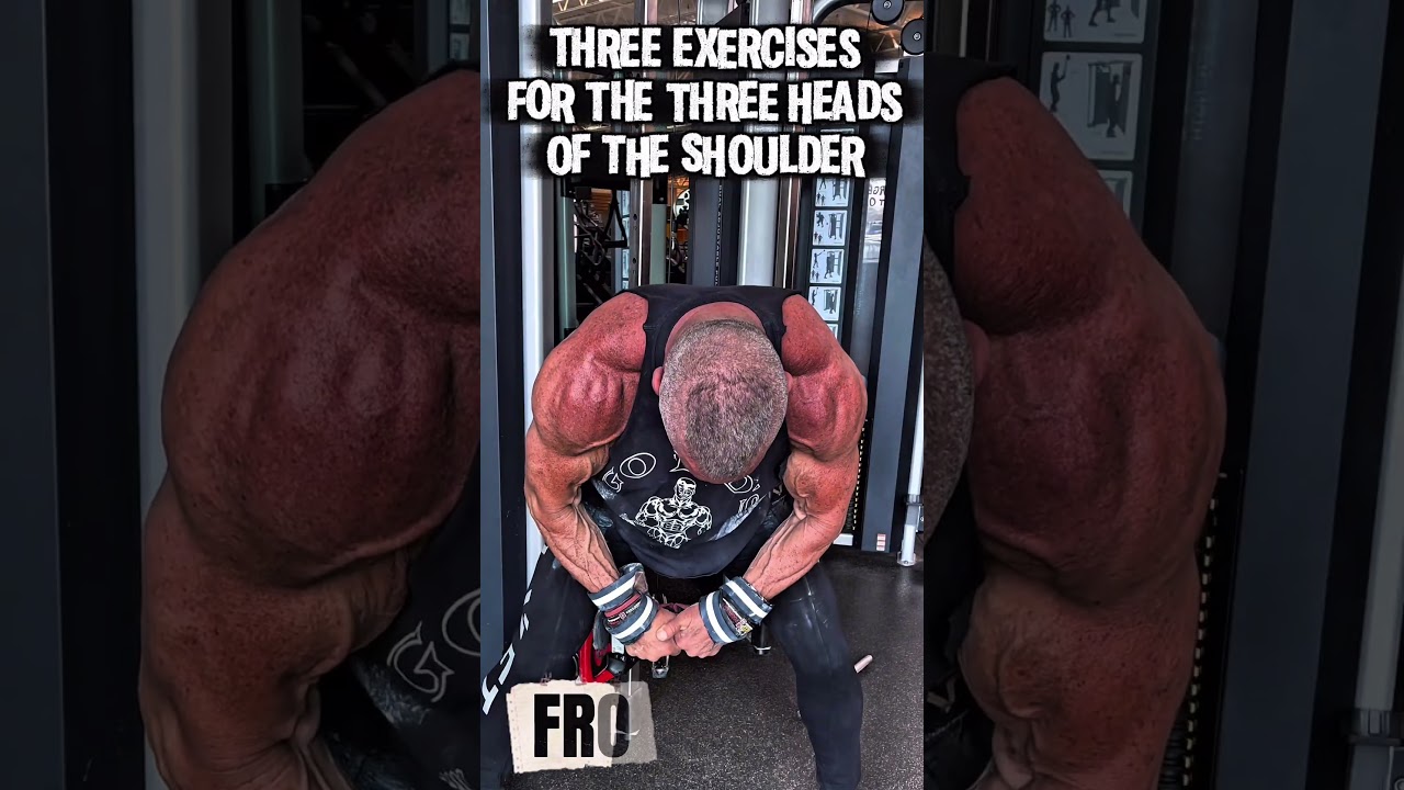 HOW TO WORK ALL THREE HEADS OF THE SHOULDER #workout #motivation #muscle #workouttips #exercise