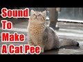 Sound to make a cat pee