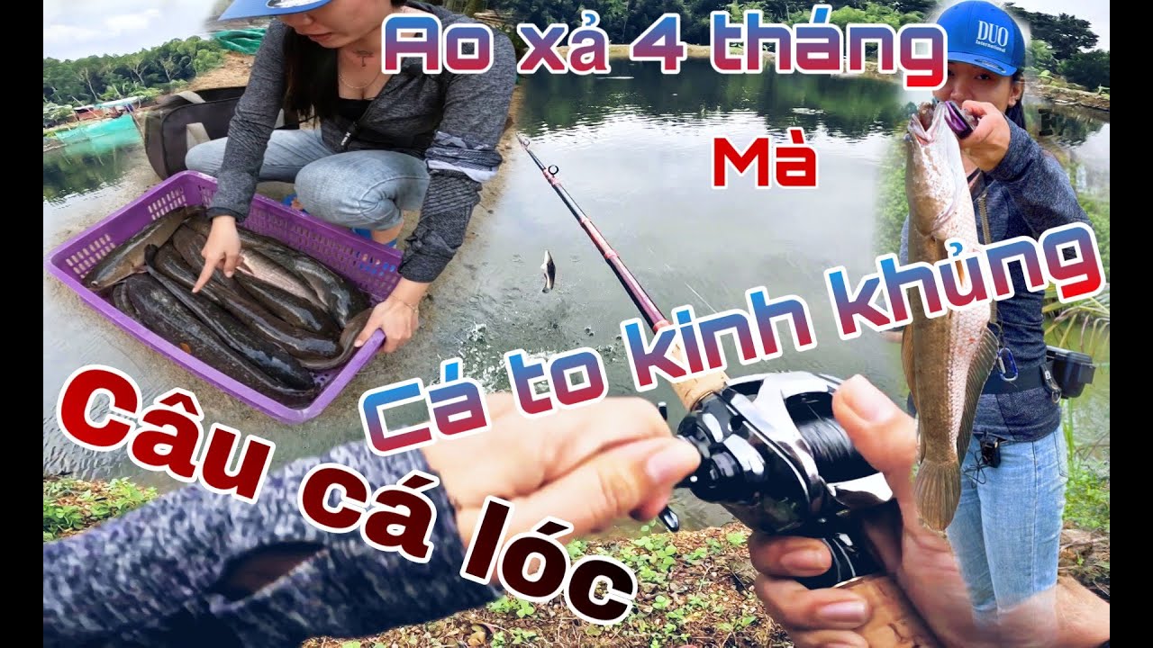Một chuyến đi câu cá lóc cùng thổ địa hồ Trị An - Fishing G