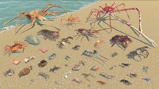 Crustaceans Weight Comparison - 3D Animal Animation Comparison