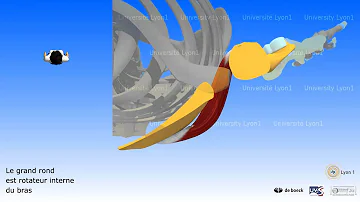 Comment travailler le grand rond ?