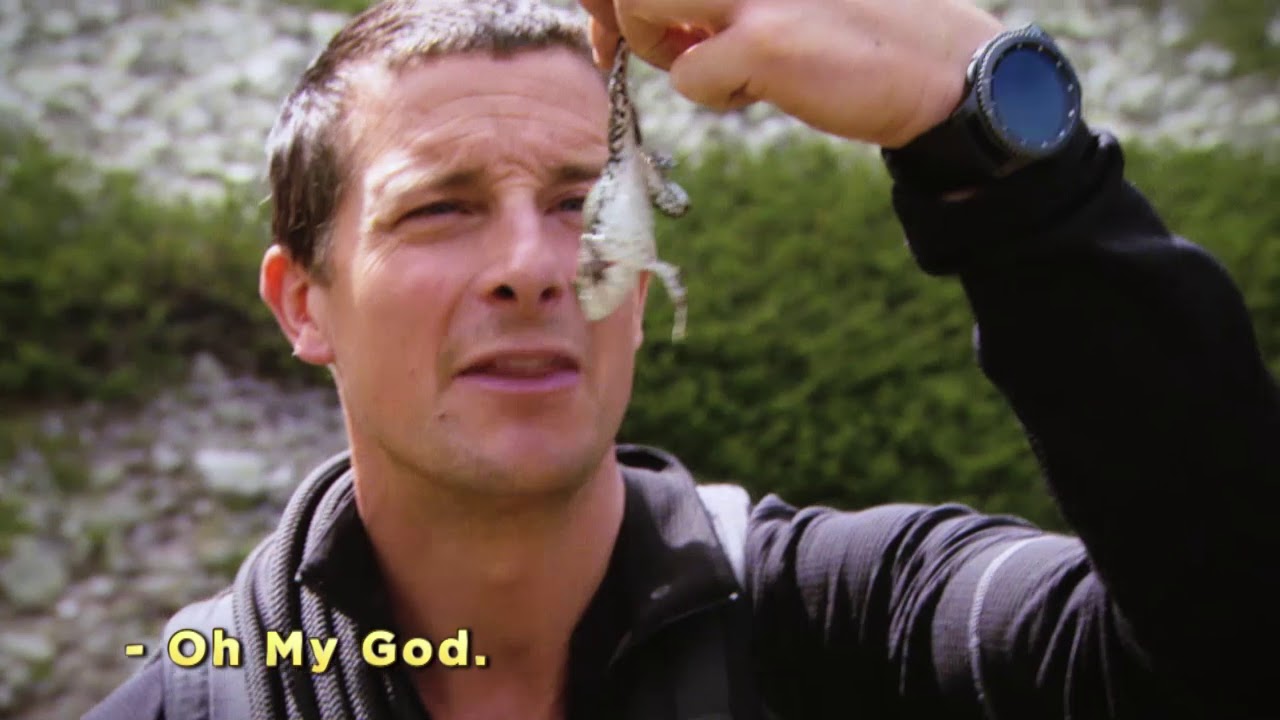 Discovery Generic Promo for Adventurers