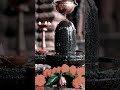 shiv linga 💝#shorts #shiv #shivshankar #shiva #shivshakti