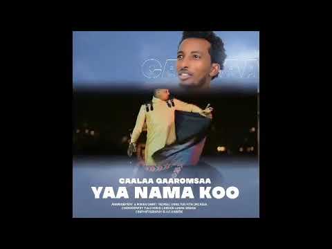 Caalaa Gaaromsaa new Ethiopian oromoo music 2021short video  Yaa namatoo