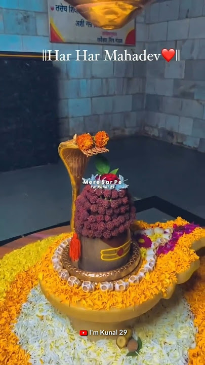 Mahadev status video 💫 bholenath status ☘️ mahakal status#mahadev #shorts