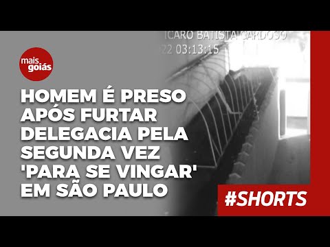 Homem é preso após furtar delegacia pela segunda vez 'para se vingar' em São Paulo