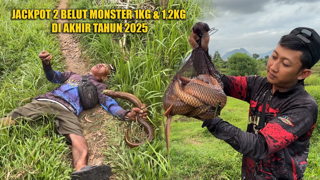 STRIKE BELUT MONSTER AKHIR TAHUN BIKIN TAK SADARKAN DIRI
