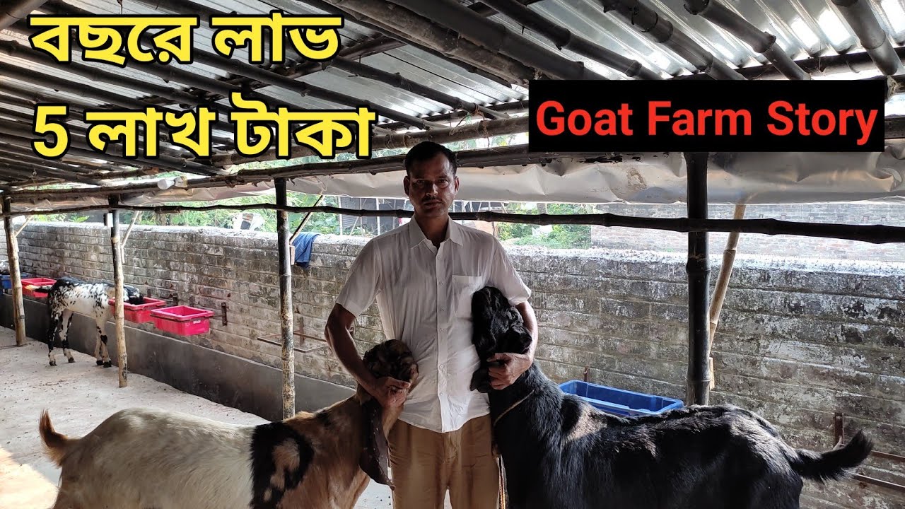 Goatery Farm Project In West Bengal