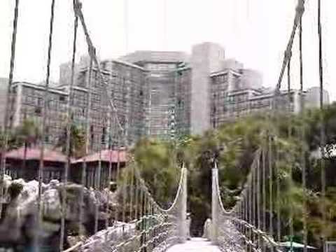 Shamoo, Sea World, Disney & Hyatt Regency Grand Cy...