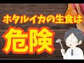 生ホタルイカの寄生虫による食中毒