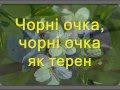 Чужа хата не своя-Чорні очка як терен