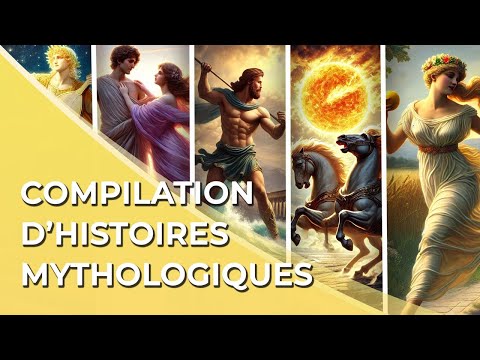 Compilation | 42
