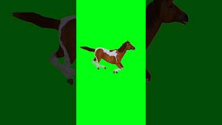 Horse Running Green Screen Animation Video
