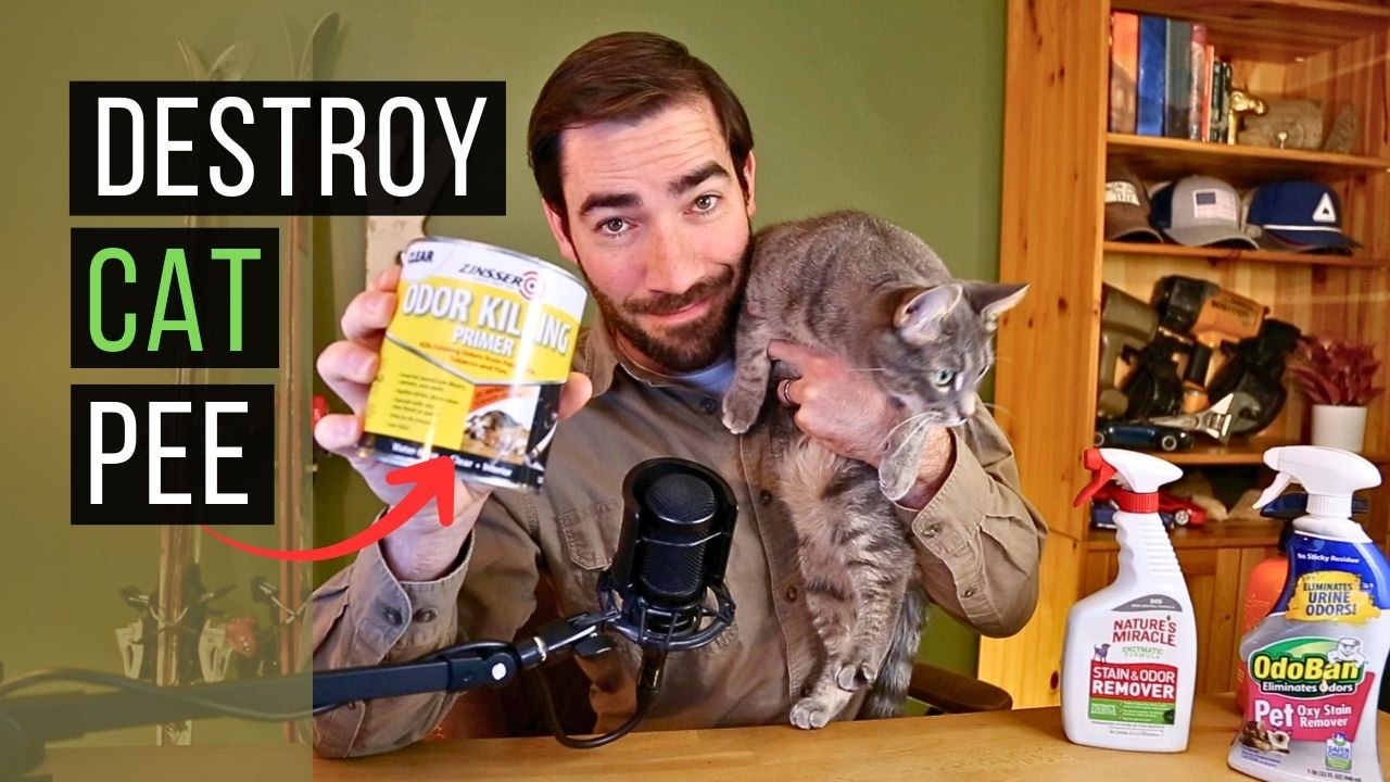 Как избавиться от запаха кошачьей мочи НАВСЕГДА (руководство по самостоятельной уборке любых пове...