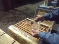 Простейший способ подкормки пчел