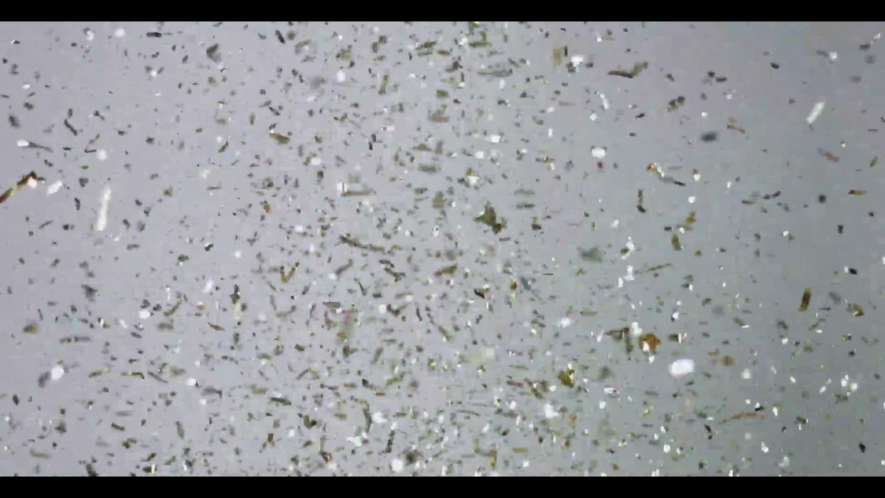 Sparkling Confetti Free Background Videos, Motion Graphics, No Copyright  | All Background Videos