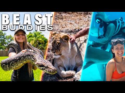 23 Minutes of Beast Buddies - Hammerheads, Lions and The Snake Queen!
