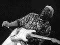 Buddy Guy "Damn Right, I've Got The Blues" (1991)