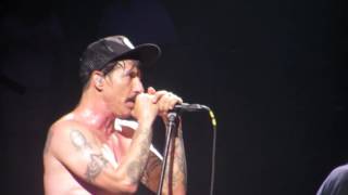 Red Hot Chili Peppers - Californication live at Unipol Arena, Bologna 8th October 2016