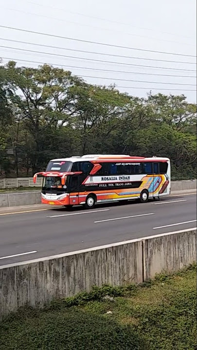 Bus Rosalia Indah dan New SHANTIKA 🔥🔥#shorts