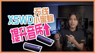 提升视频的收音质量，森海塞尔XSWD无线小蜜蜂！