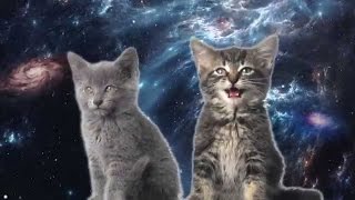 galactic Cats - kittens travel the universe - girls games funny - kids games compilation  gameplay screenshot 5