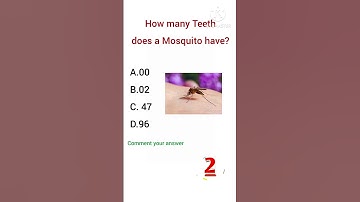How many teeth does a mosquito have...?#education #gkquiz #ytshorts #mosquito #gk #shortfeed #fyp
