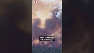 Thumbnail for Grote brand op Veluwe