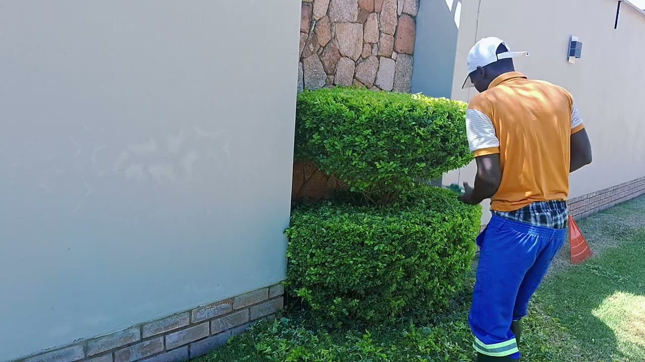 Outside the complex prt1 #flowers #gardenflowers #garden 