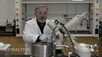 Extraction with Mark Niemczyk, Ph.D.