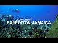 Global Reef Expedition: Jamaica