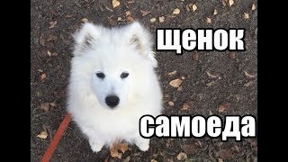 :  .   .    