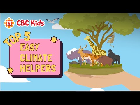 How You Can Help Slow Climate Change CBC Kids 