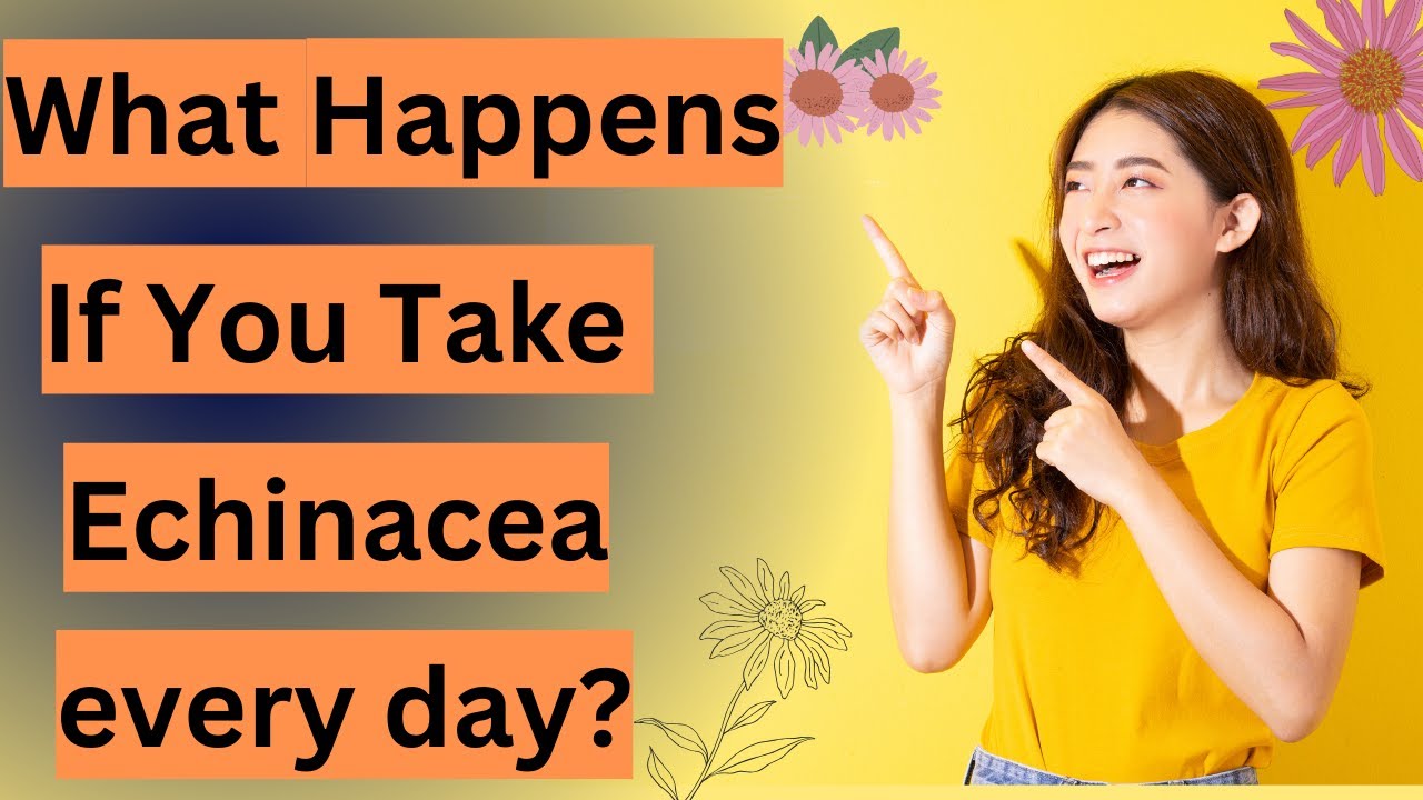 What Happens If You Take Echinacea every day?
