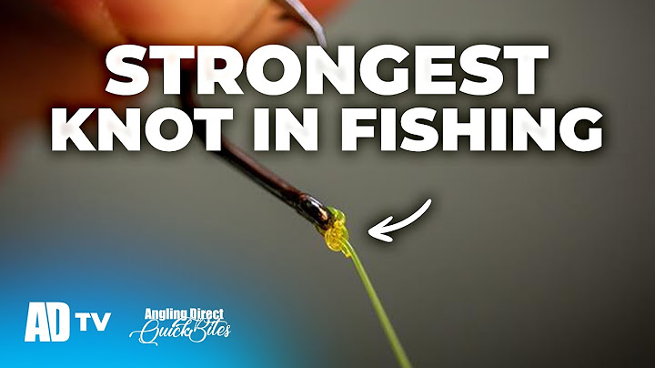 How To Tie The Palomar Knot - Angling Direct Quickbite