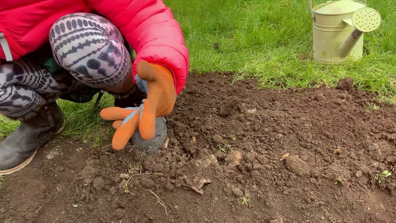 The Kids - How To Grow Radishes 