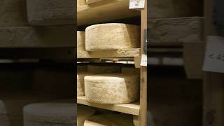 The Alchemy of Cheesemaking | Whole Foods Market #cheese #fermentation #sustainability #food